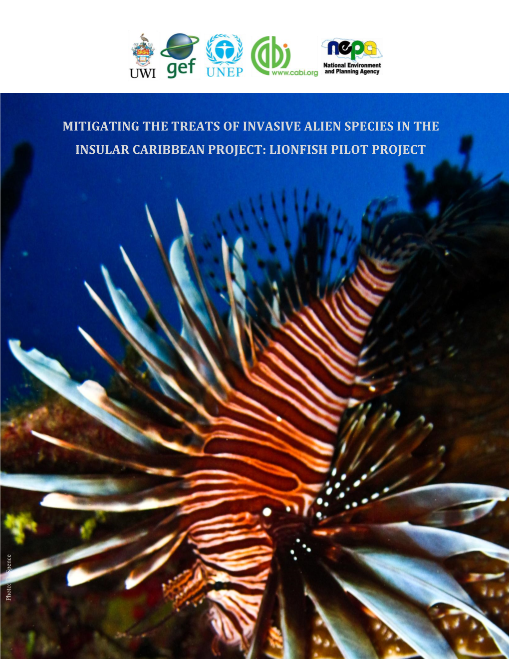 Lionfish Project Technical Report