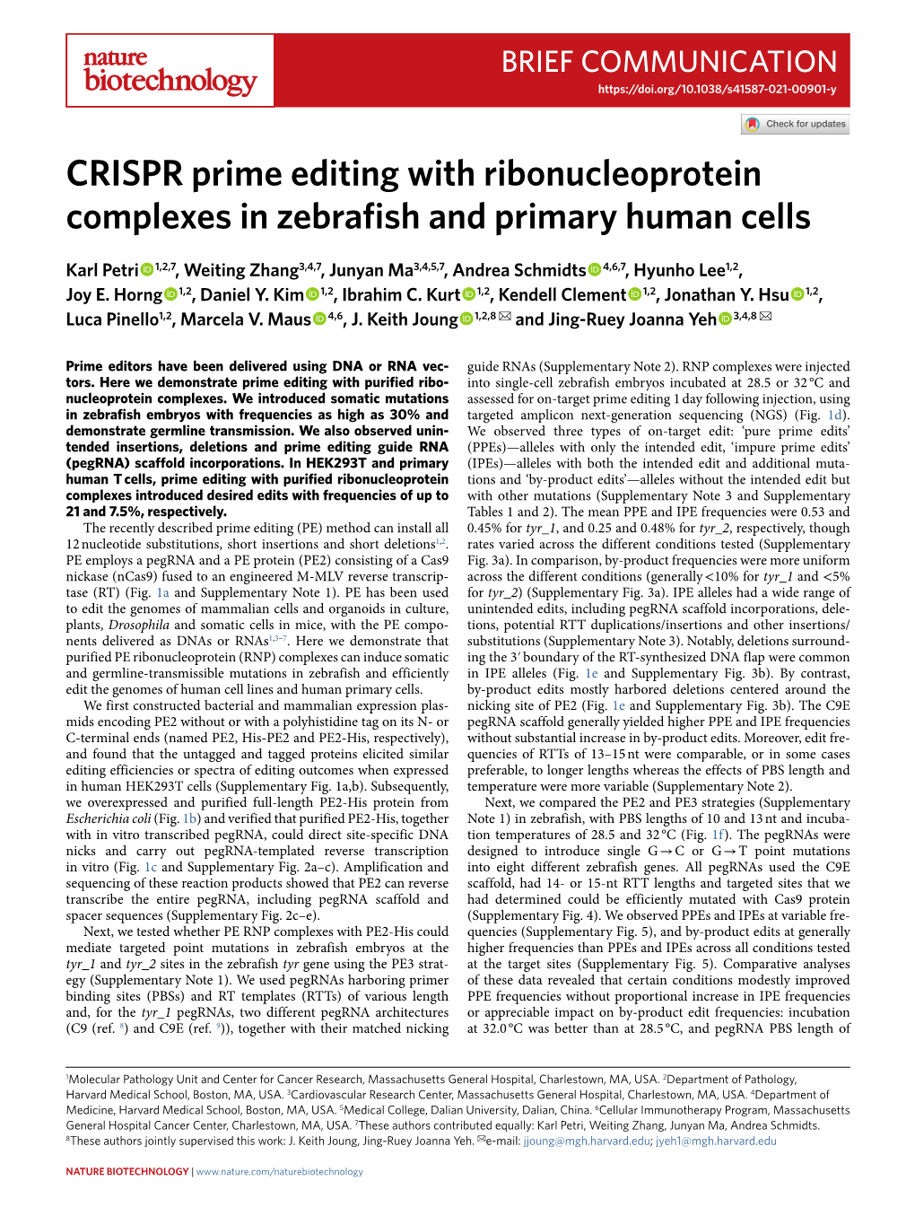 CRISPR Prime Editing with Ribonucleoprotein Complexes in Zebrafish and Primary Human Cells