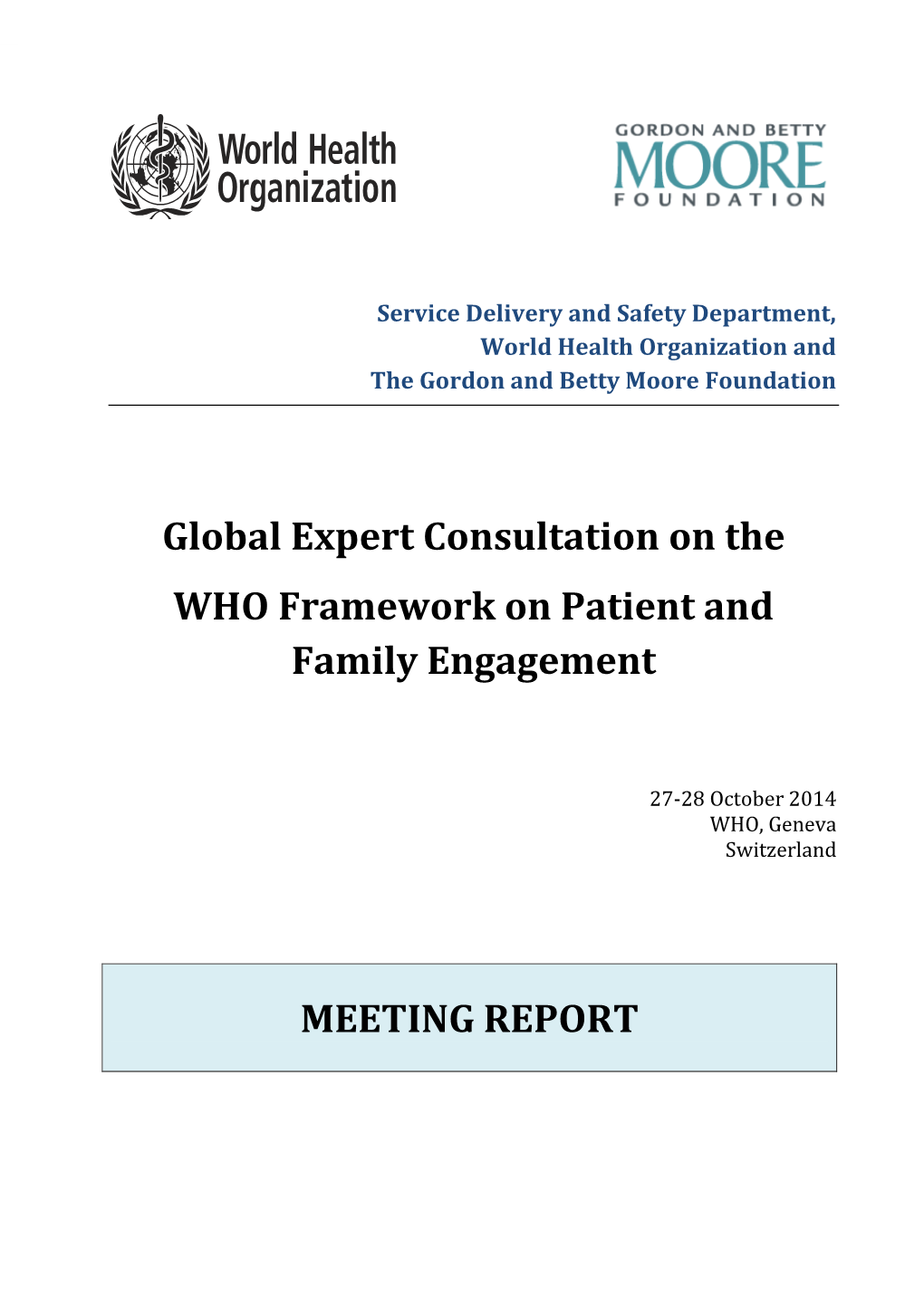 Global Expert Consultation on the WHO Framework on Patient And