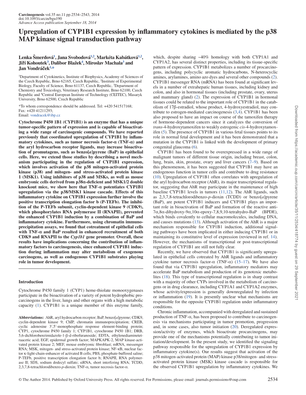 Upregulation of CYP1B1 Expression by Inflammatory Cytokines Is Mediated by the P38 MAP Kinase Signal Transduction Pathway