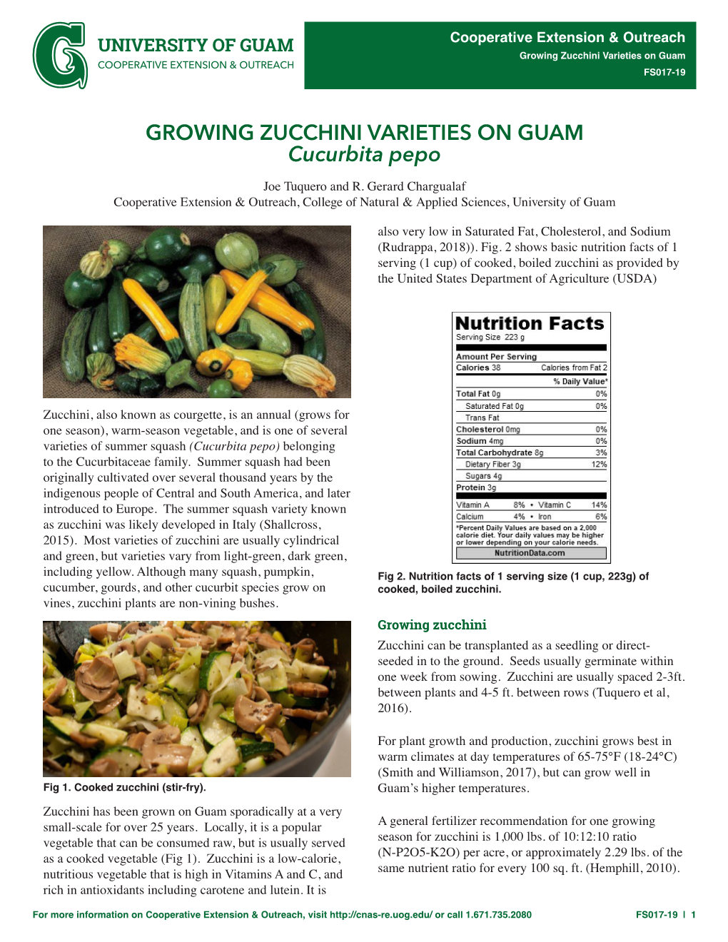 Cucurbita Pepo GROWING ZUCCHINI VARIETIES on GUAM