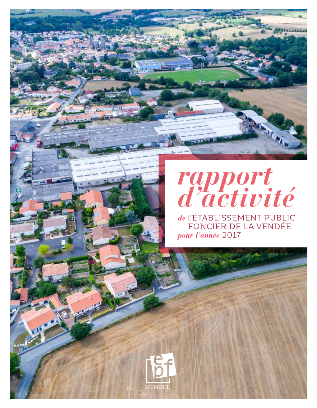 Rapport D'activité