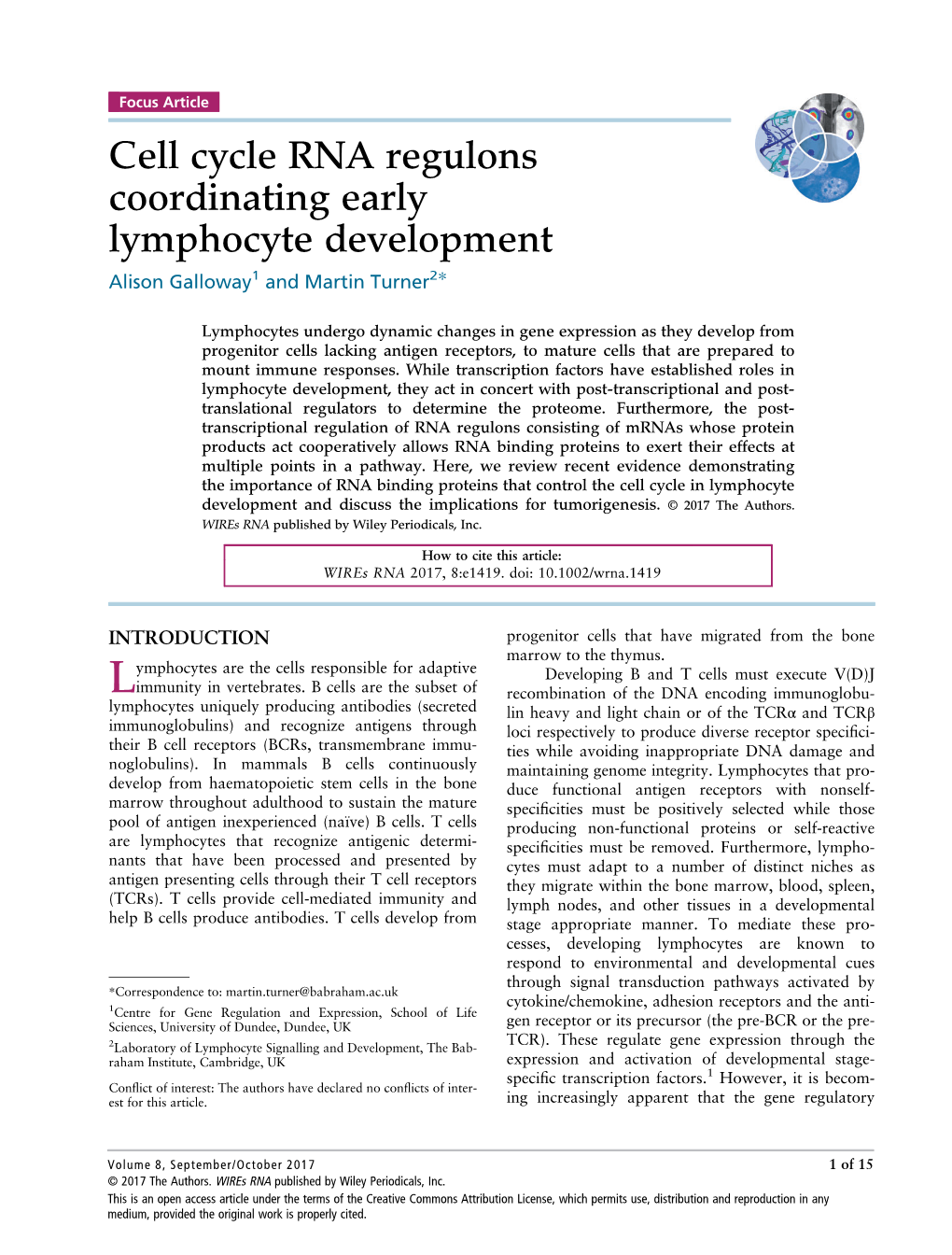 Cell Cycle RNA Regulons Coordinating Early Lymphocyte Development