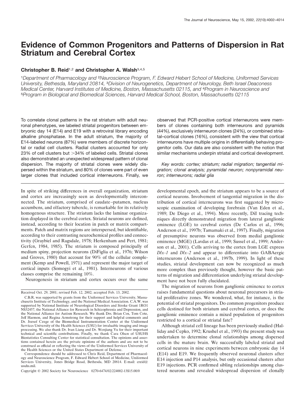 Evidence of Common Progenitors and Patterns of Dispersion in Rat Striatum and Cerebral Cortex