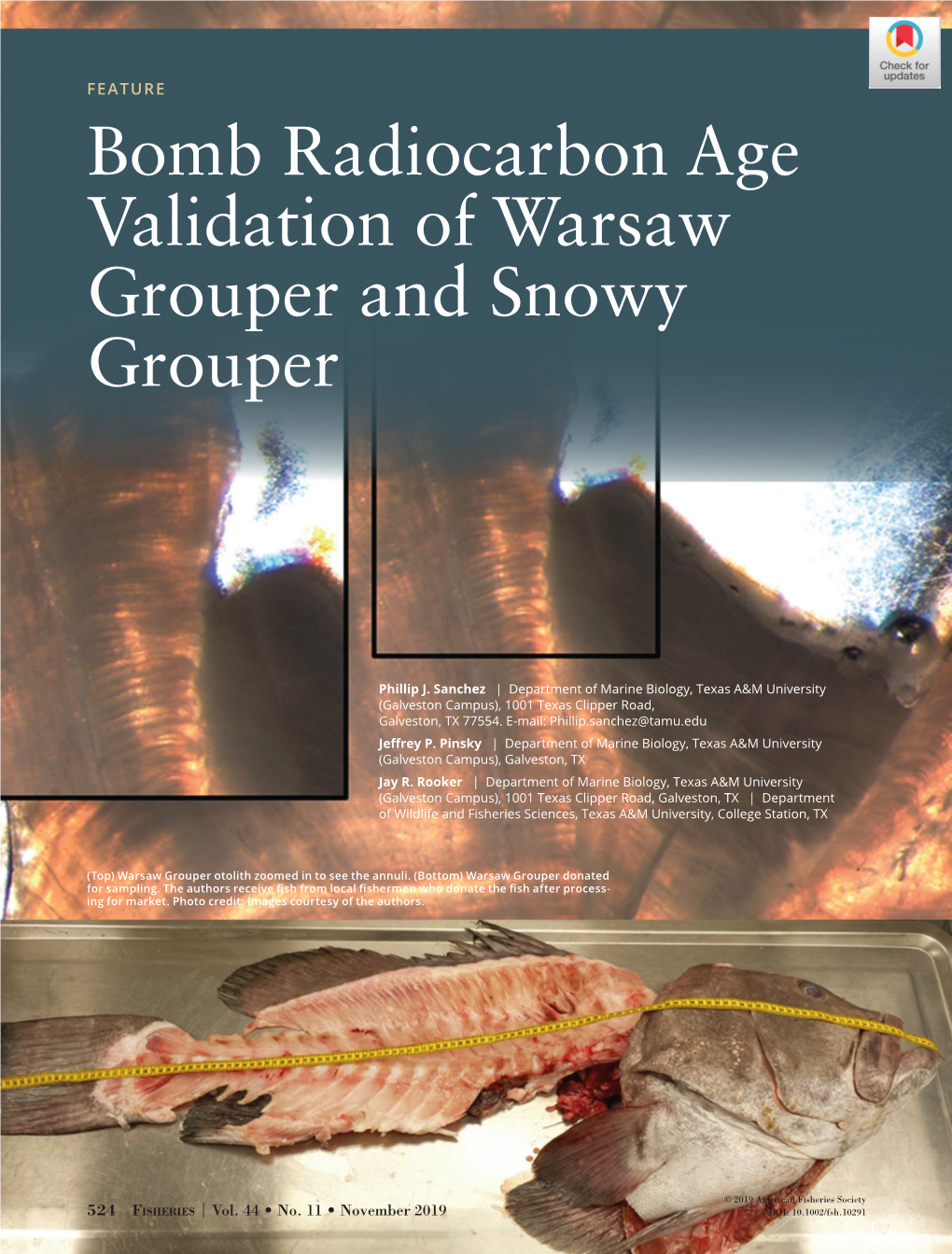 Bomb Radiocarbon Age Validation of Warsaw Grouper and Snowy Grouper
