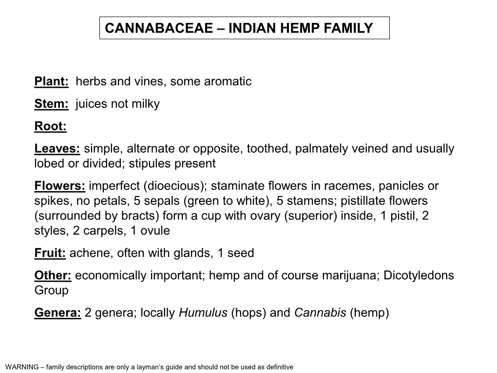 Cannabaceae – Indian Hemp Family