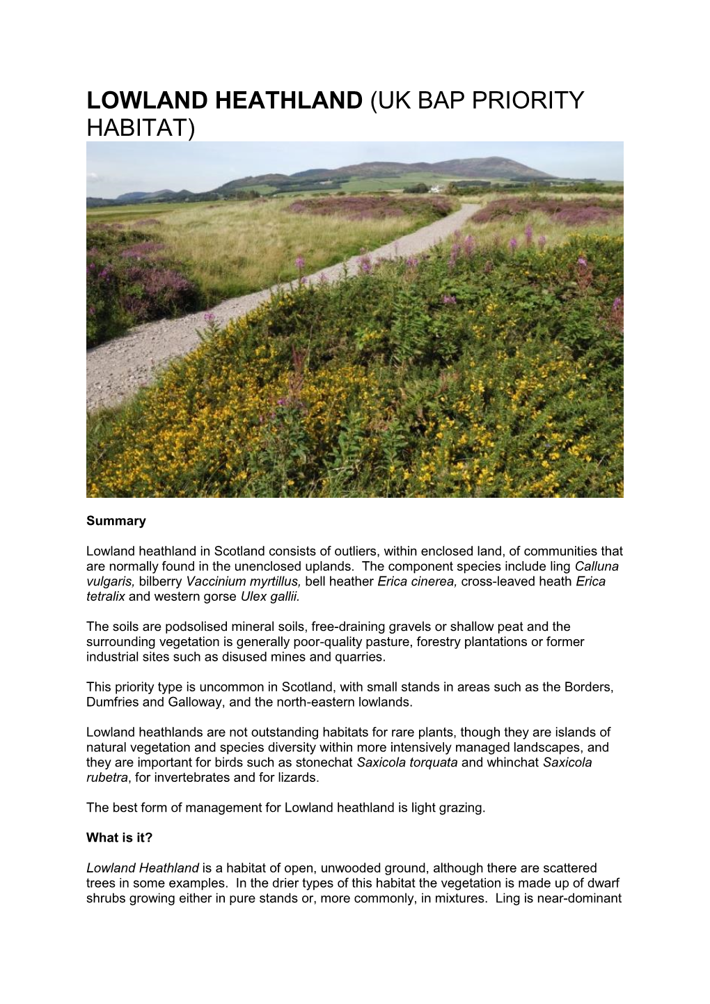 Lowland Heathland (Uk Bap Priority Habitat)