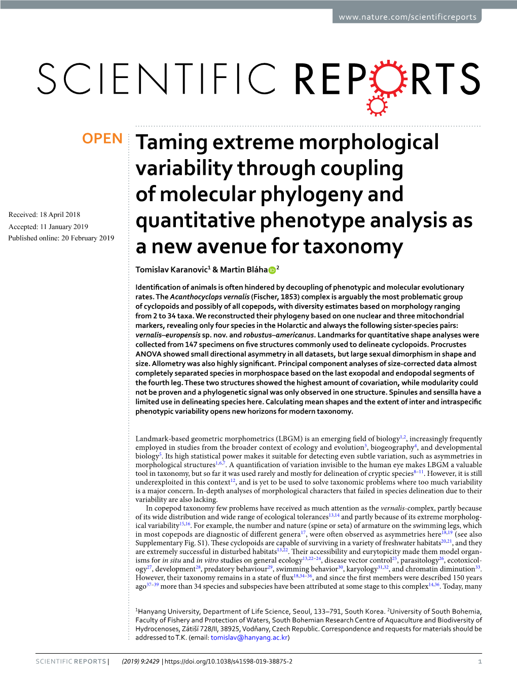 Taming Extreme Morphological Variability Through Coupling of Molecular Phylogeny and Quantitative Phenotype Analysis As a New Av