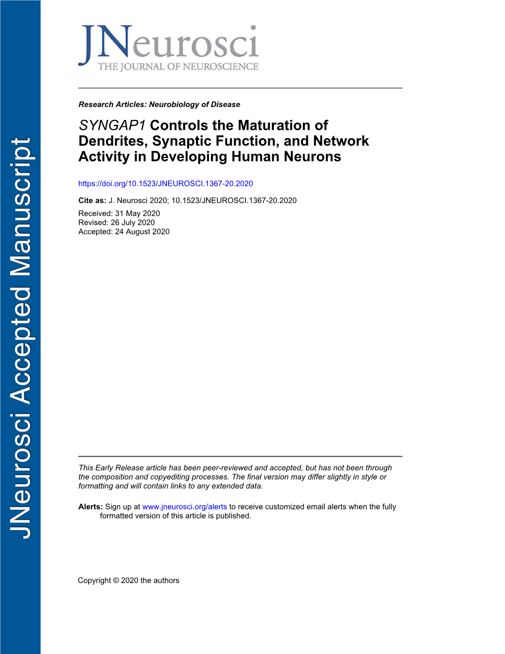 SYNGAP1 Controls the Maturation of Dendrites, Synaptic Function, and Network Activity in Developing Human Neurons