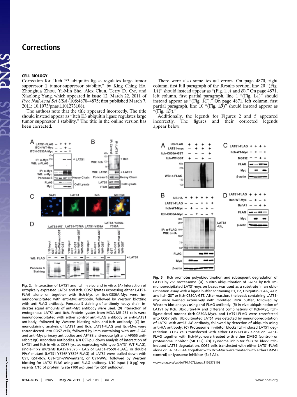 Itch E3 Ubiquitin Ligase Regulates Large Tumor Suppressor 1 Tumor-Suppressor Stability