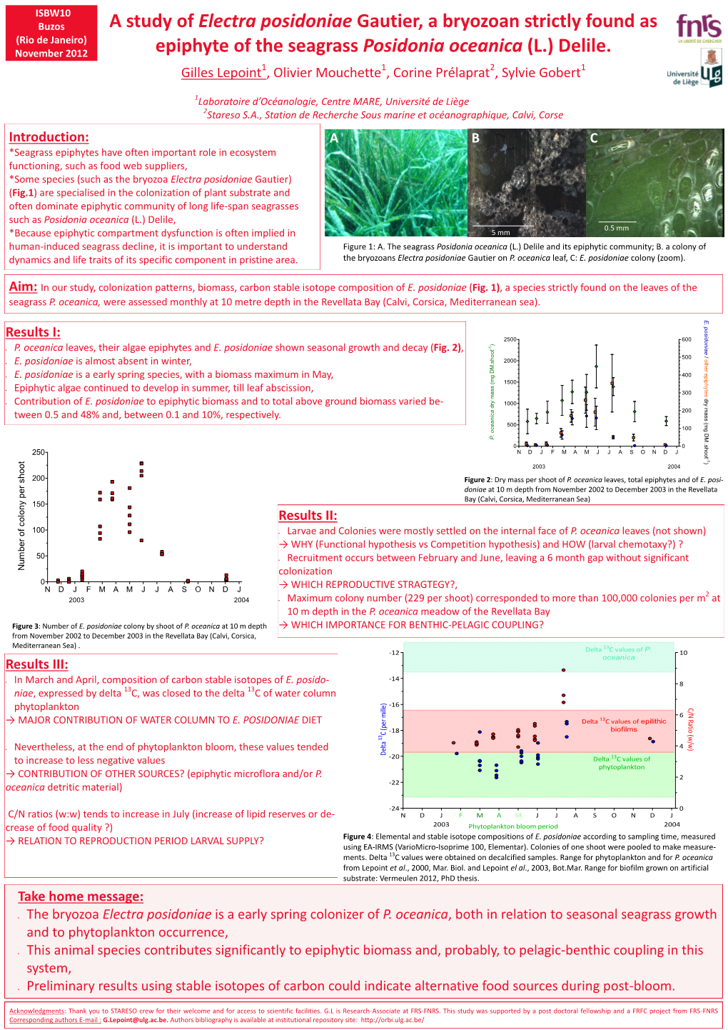 A Study of Electra Posidoniae Gautier, a Bryozoan Strictly Found As (Rio De Janeiro) November 2012 Epiphyte of the Seagrass Posidonia Oceanica (L.) Delile