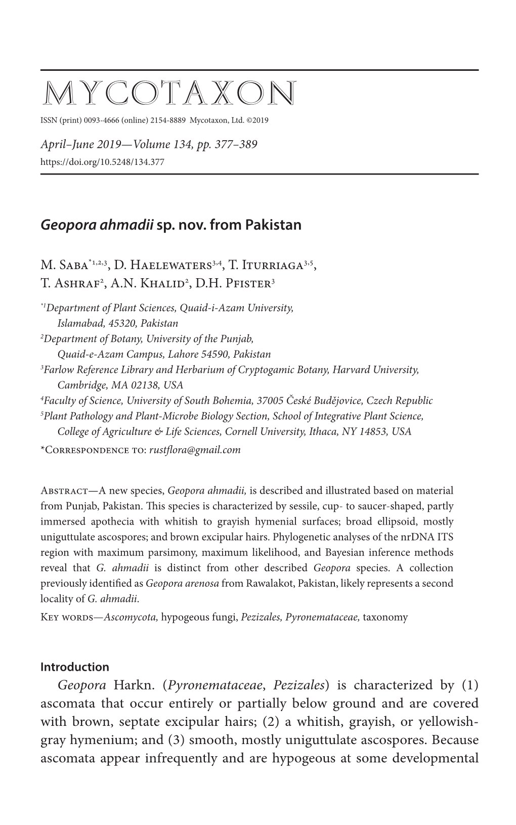 &lt;I&gt;Geopora Ahmadii&lt;/I&gt; Sp. Nov. from Pakistan