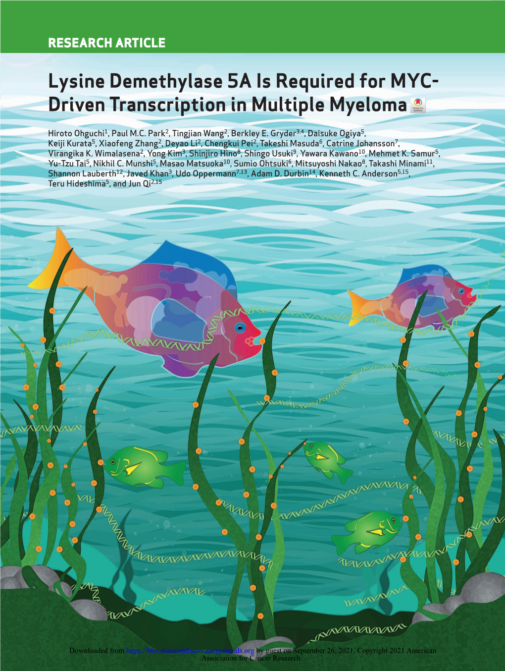 Driven Transcription in Multiple Myeloma