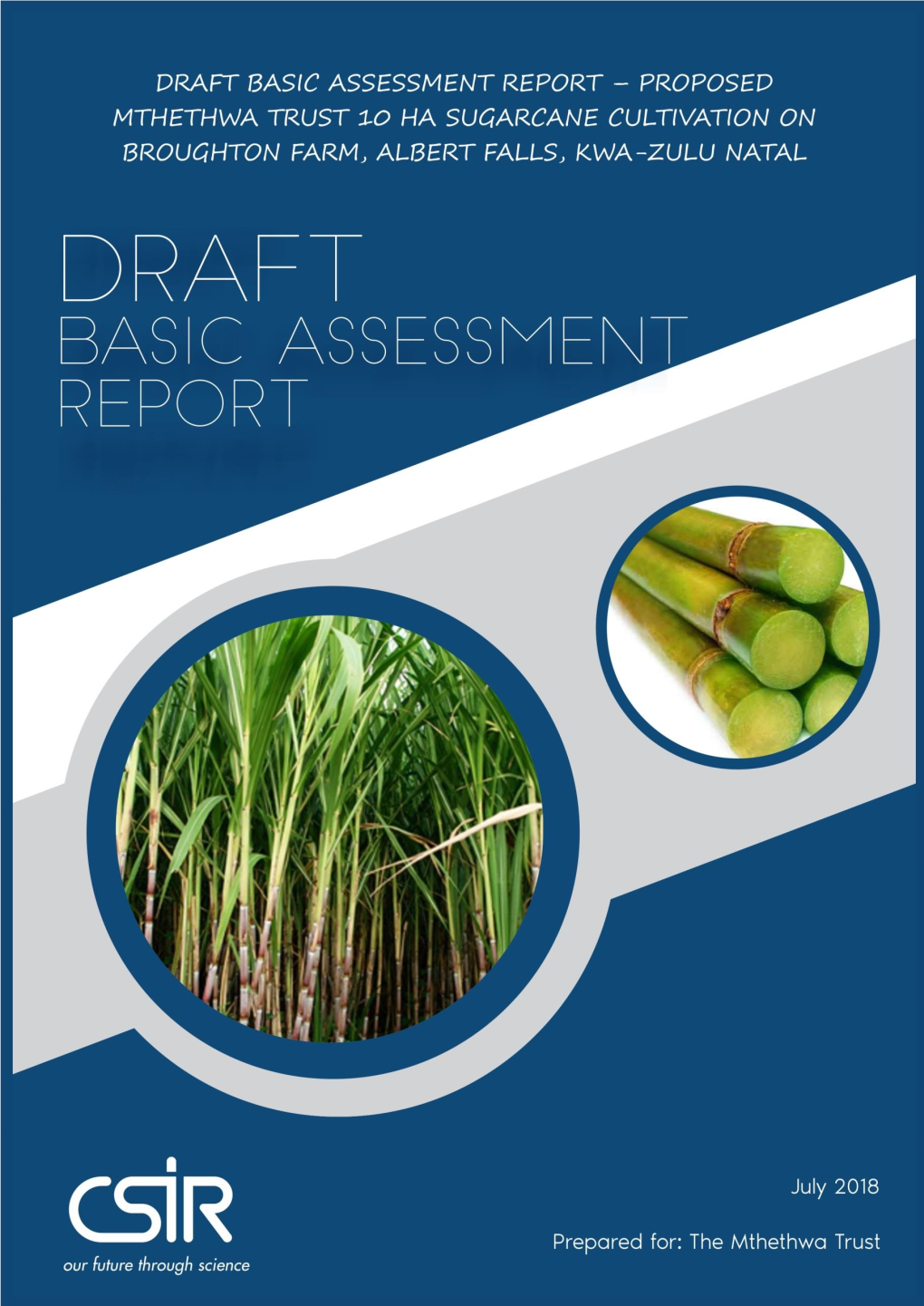 Mthethwa Trust Sugarcane Draft BA Report KZN July 2018 2.Pdf