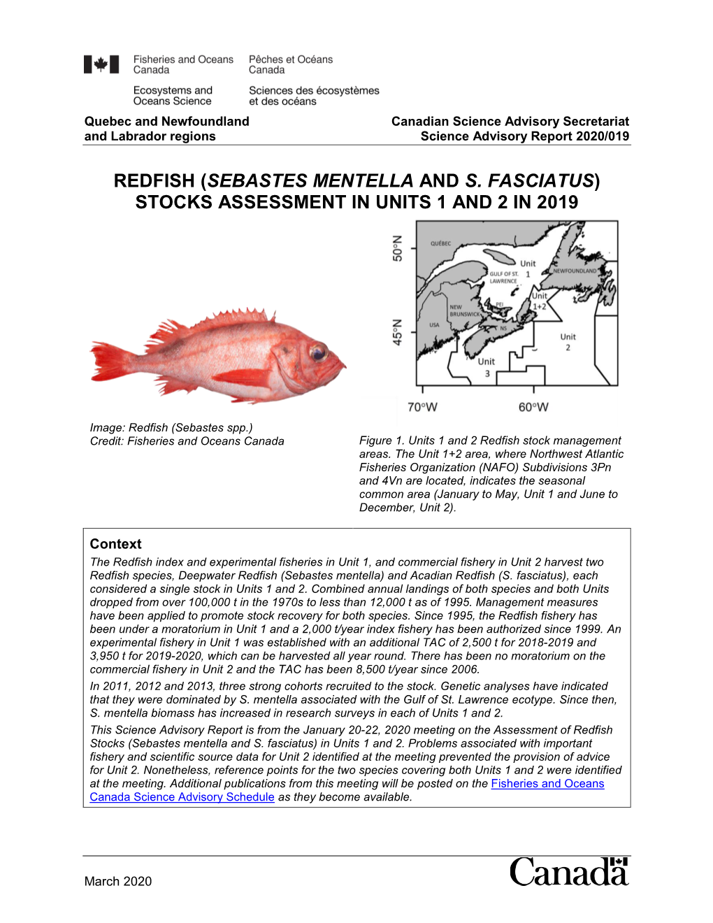 Redfish (Sebastes Mentella and S