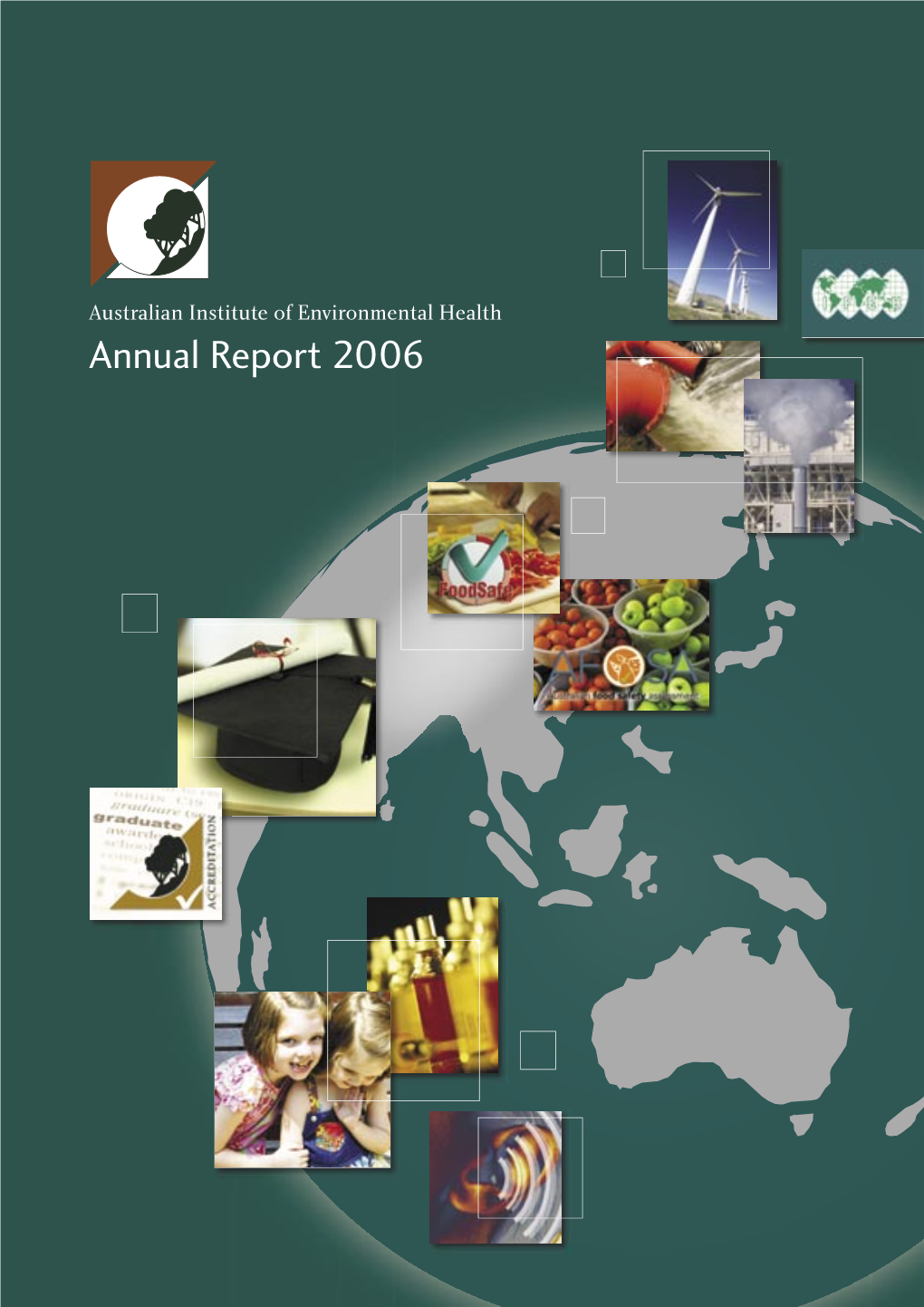 AIEH Annual Report 06#.Indd