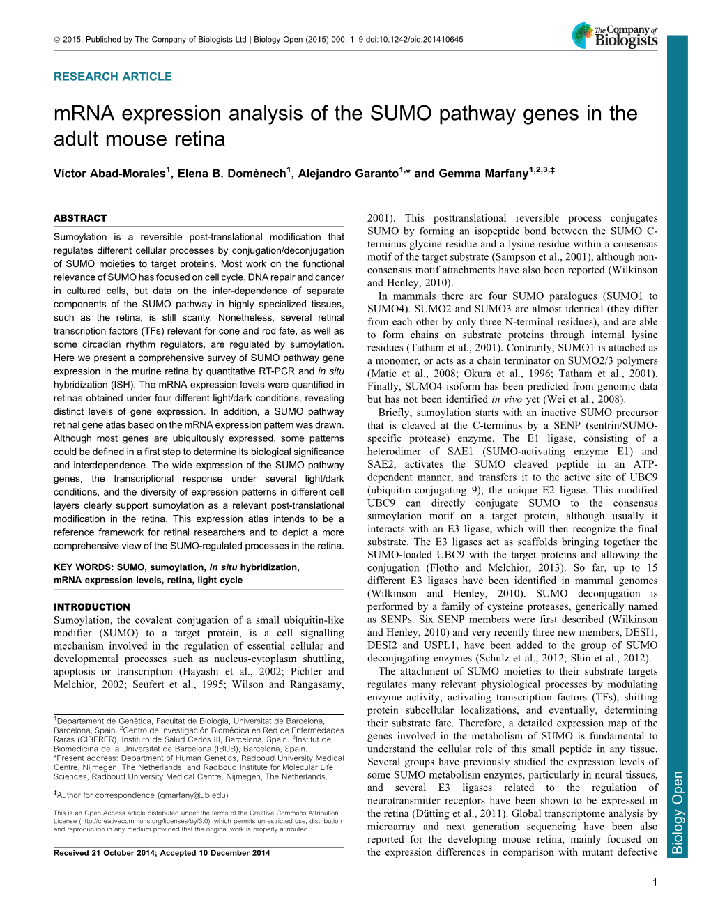 Mrna Expression Analysis of the SUMO Pathway Genes in the Adult Mouse Retina