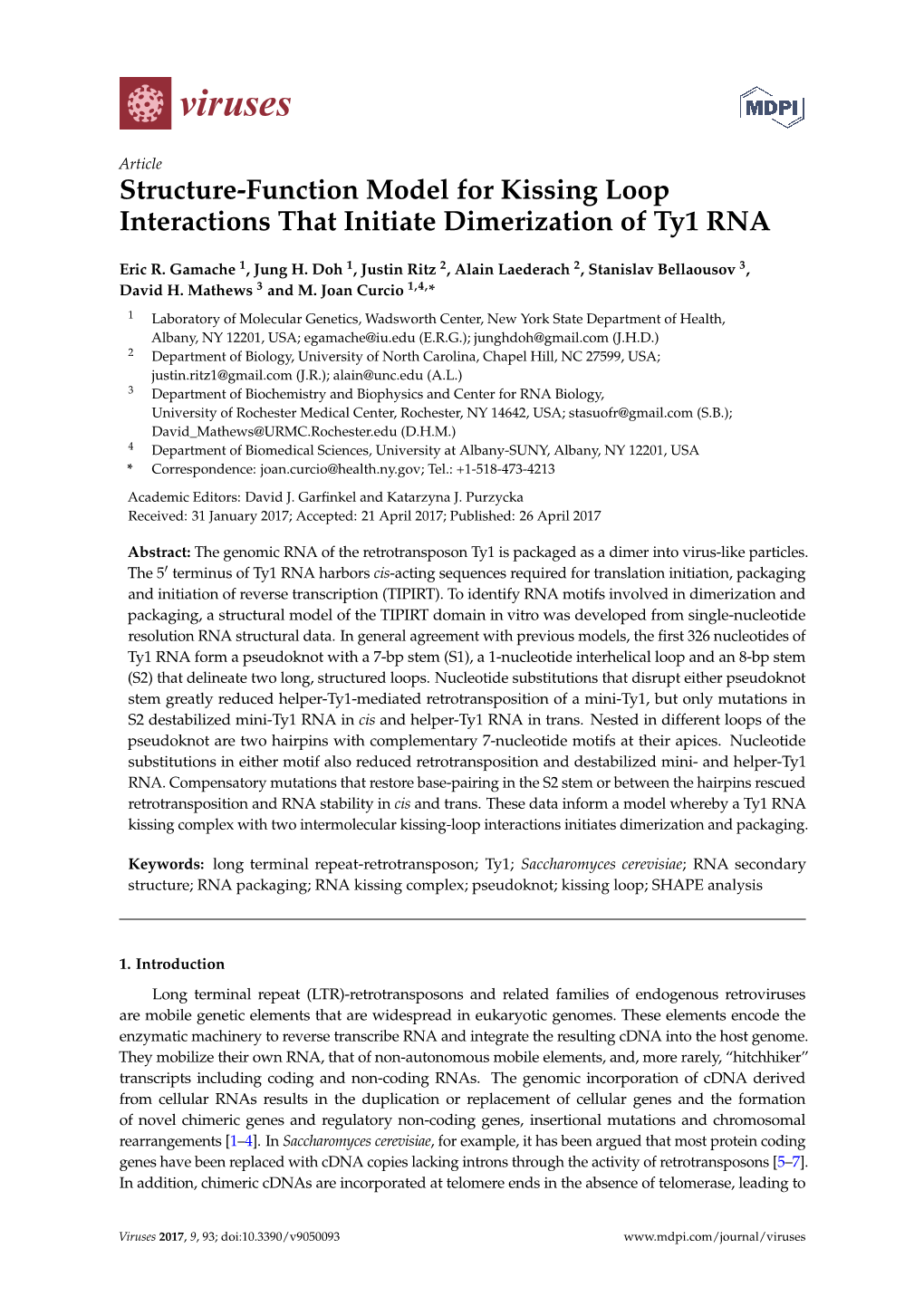 Structure-Function Model for Kissing Loop Interactions That Initiate Dimerization of Ty1 RNA