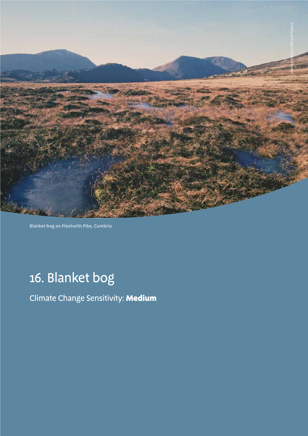 16. Blanket Bog