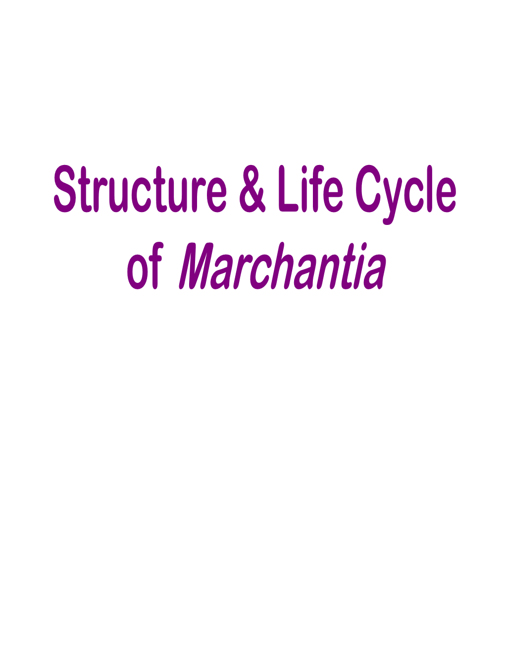 Of Marchantia Marchantia General Characters