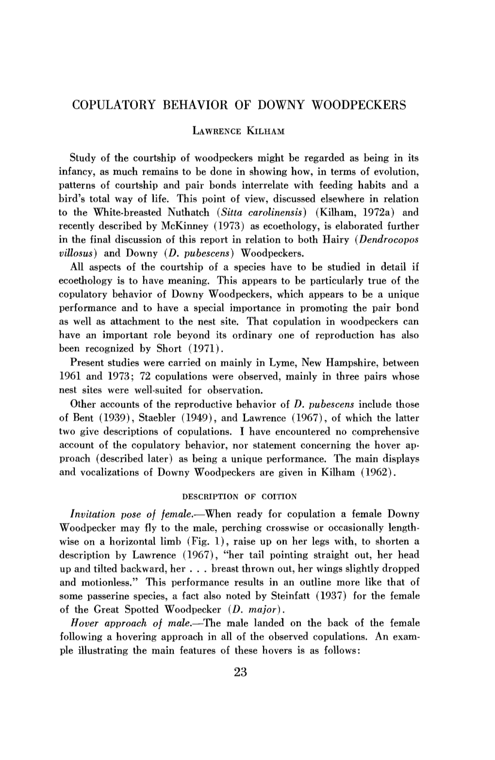 Copulatory Behavior of Downy Woodpeckers