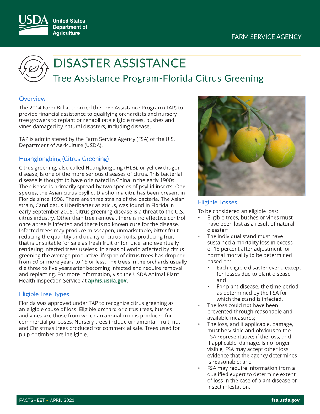 Tree Assistance Program (TAP) – Florida Citrus Greening