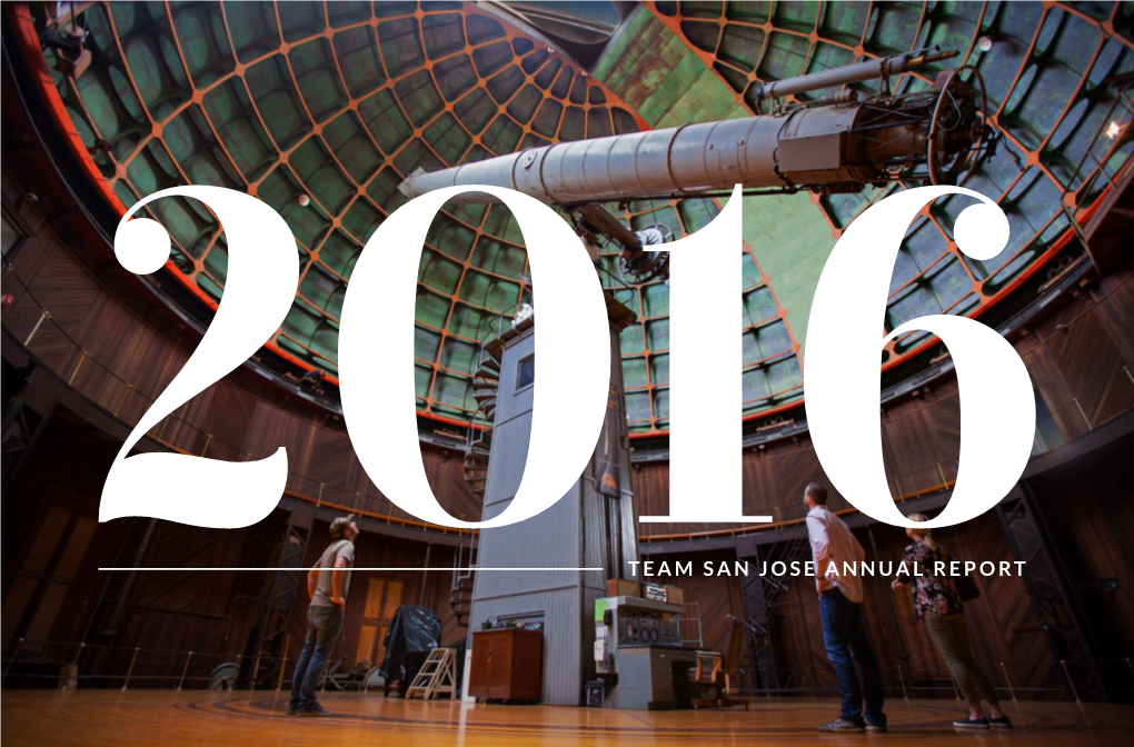 2016Team San Jose Annual Report Background