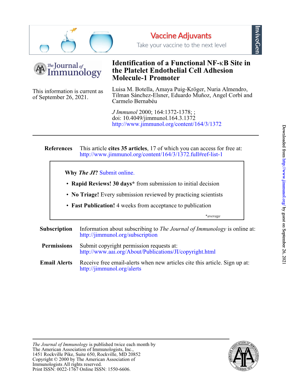 Molecule-1 Promoter the Platelet Endothelial Cell Adhesion B Site In