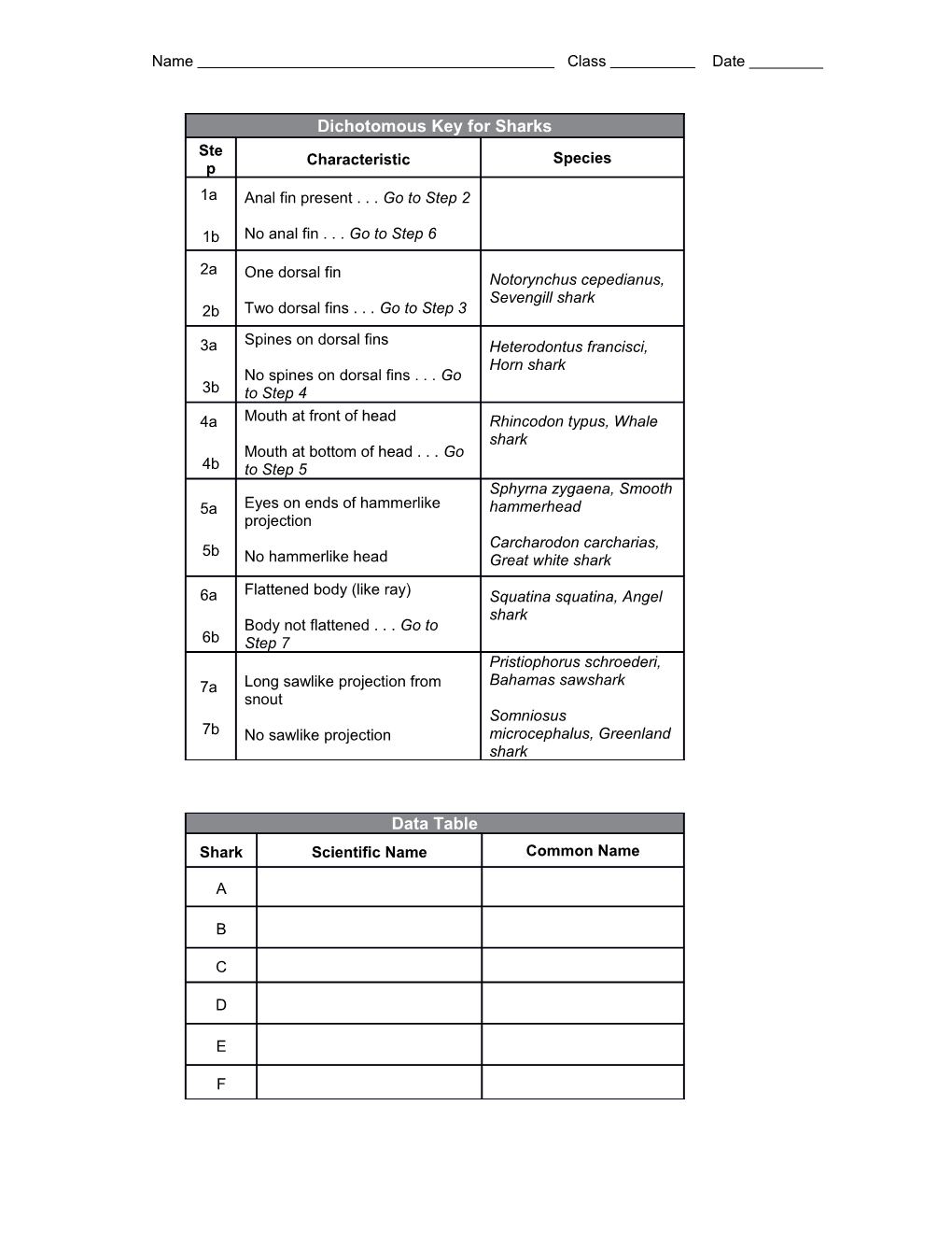 Part B: Construct a Dichotomous Key