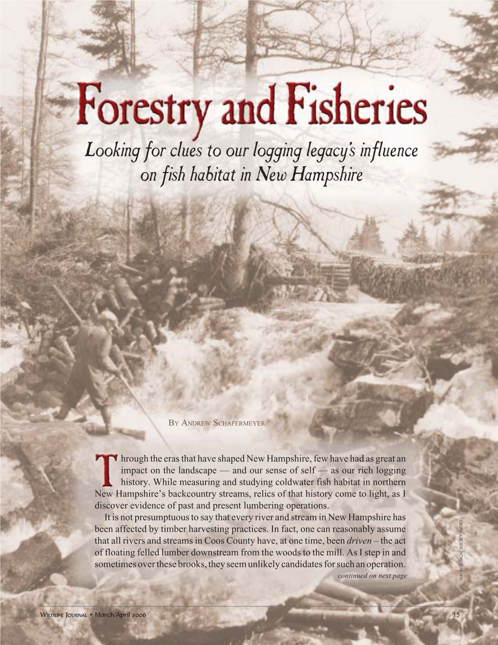 Forestry and Fisheries