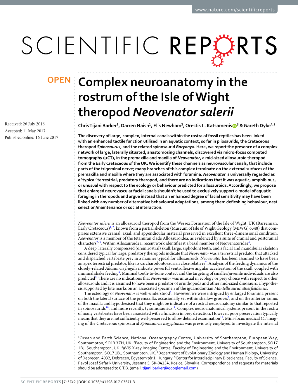 Complex Neuroanatomy in the Rostrum of the Isle of Wight Theropod