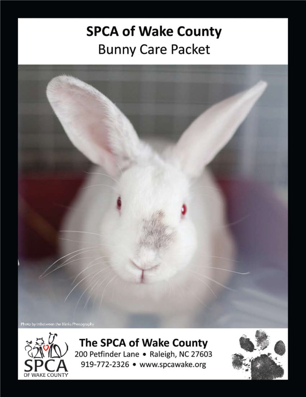 Bunny-Small-Pet-Adoption-Packet.Pdf
