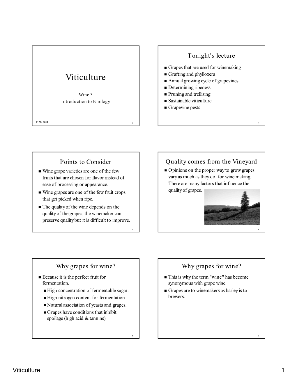 Viticulture.Pdf