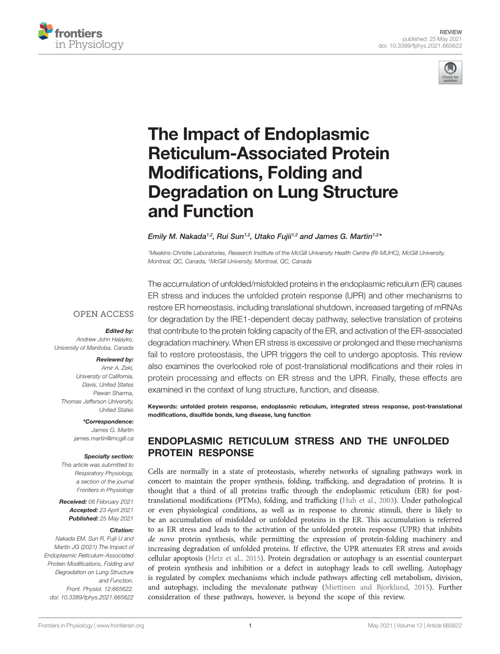 The Impact of Endoplasmic Reticulum-Associated Protein Modifications, Folding and Degradation on Lung Structure and Function