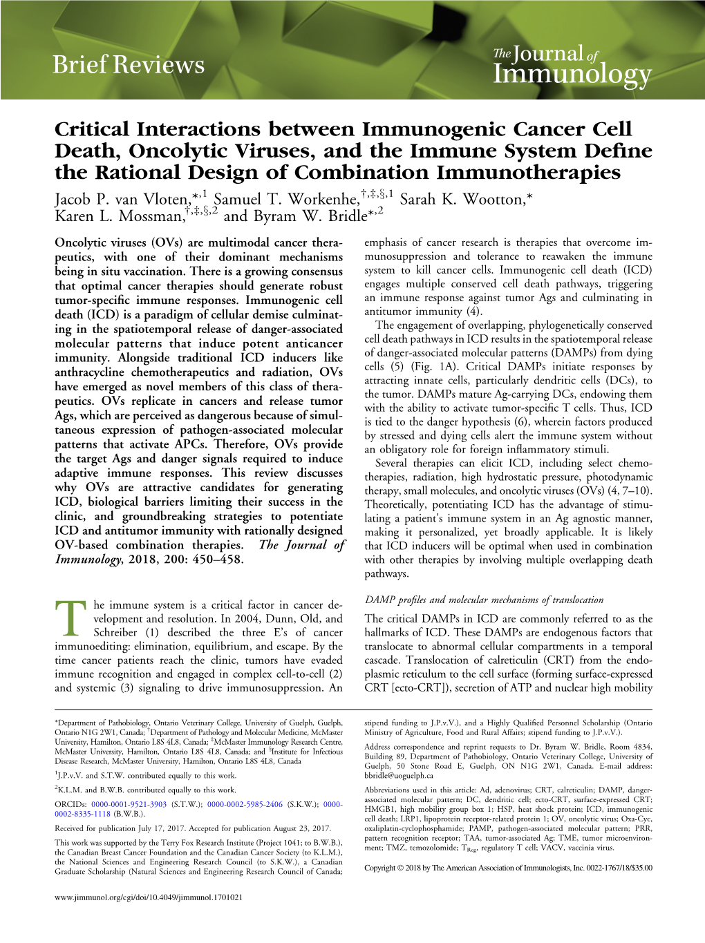 Critical Interactions Between Immunogenic Cancer Cell Death