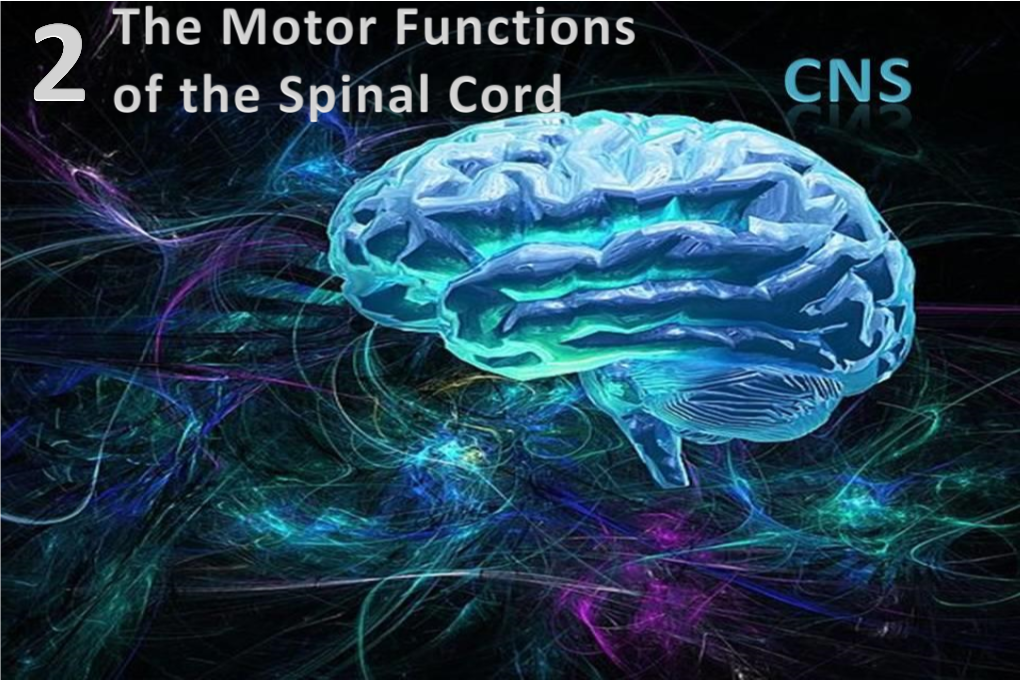 (1) Describe the Functions of Spinal Cord (2) Understand the Physiological Role of the Spinal Cord As a Pathway for Tracts
