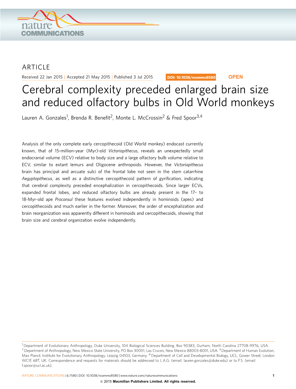 Cerebral Complexity Preceded Enlarged Brain Size and Reduced Olfactory Bulbs in Old World Monkeys