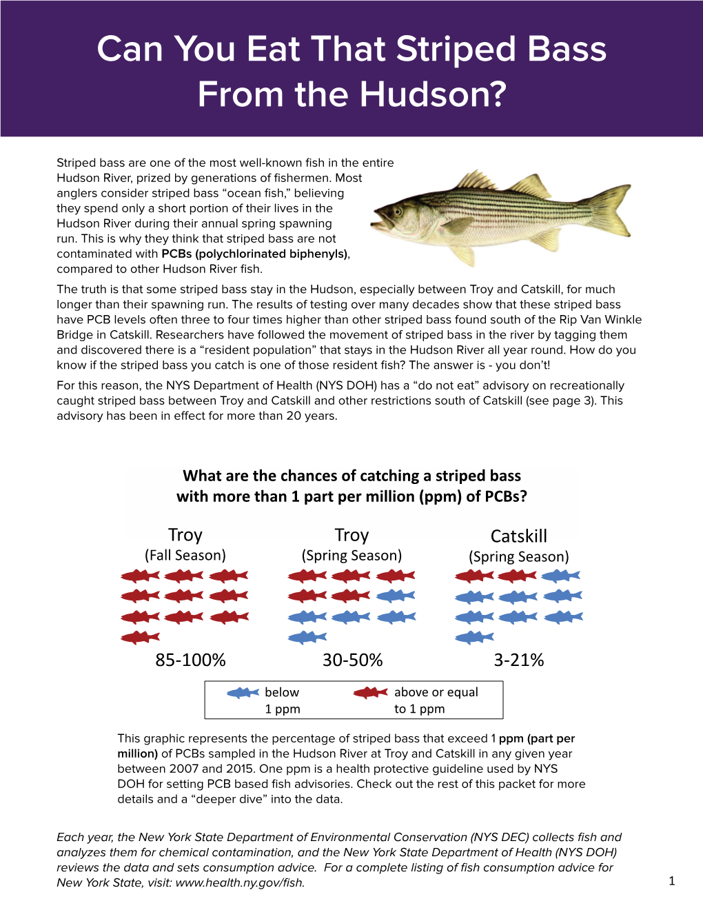 Can You Eat That Striped Bass from the Hudson River?