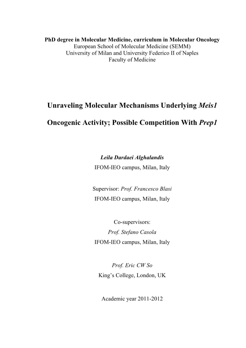 Unraveling Molecular Mechanisms Underlying Meis1 Oncogenic Activity