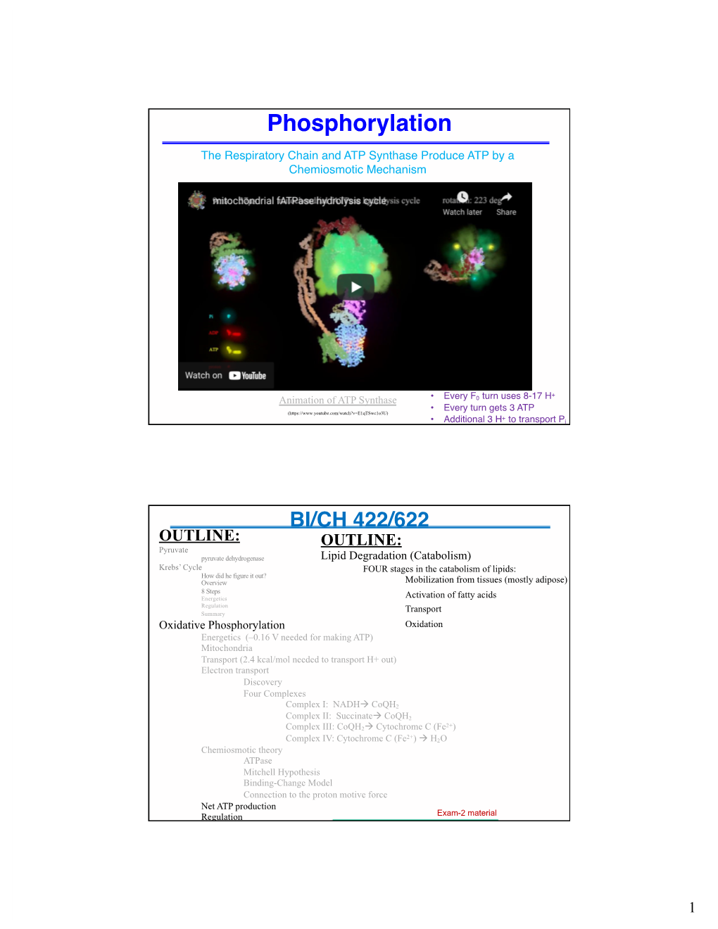 Phosphorylation