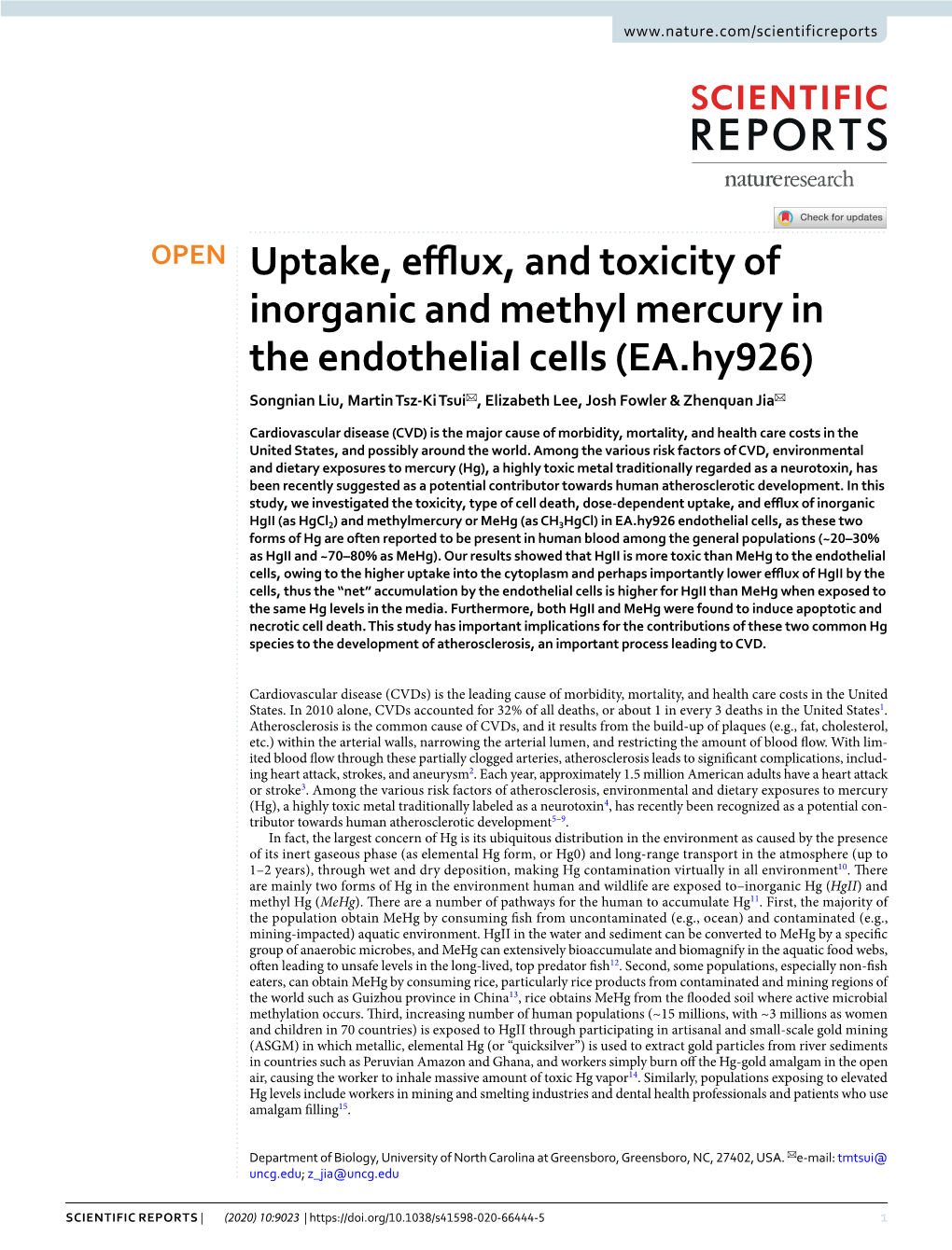 Uptake, Efflux, and Toxicity of Inorganic and Methyl Mercury in the Endothelial Cells (EA.Hy926)