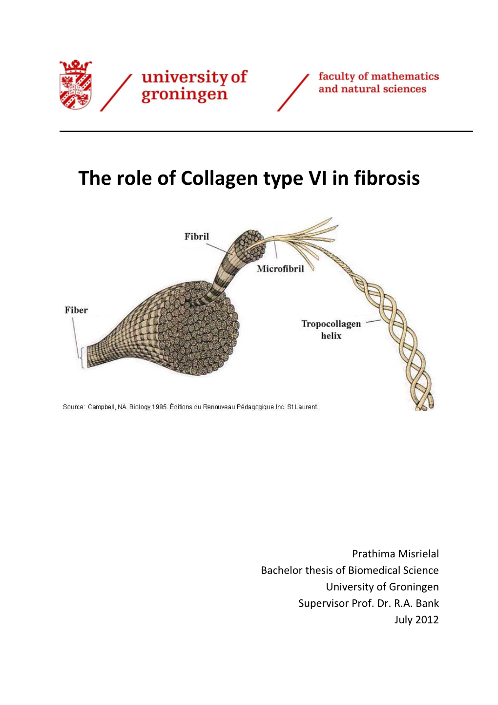 The Role of Collagen Type VI in Fibrosis