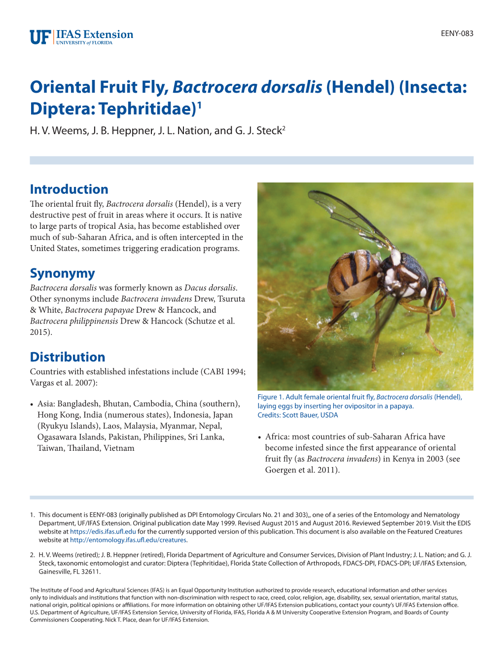 Oriental Fruit Fly, Bactrocera Dorsalis (Hendel) (Insecta: Diptera: Tephritidae)1 H