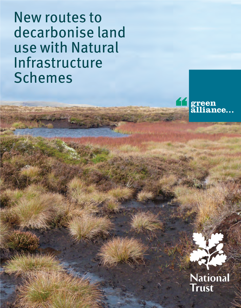 New Routes to Decarbonise Land Use with Natural Infrastructure Schemes