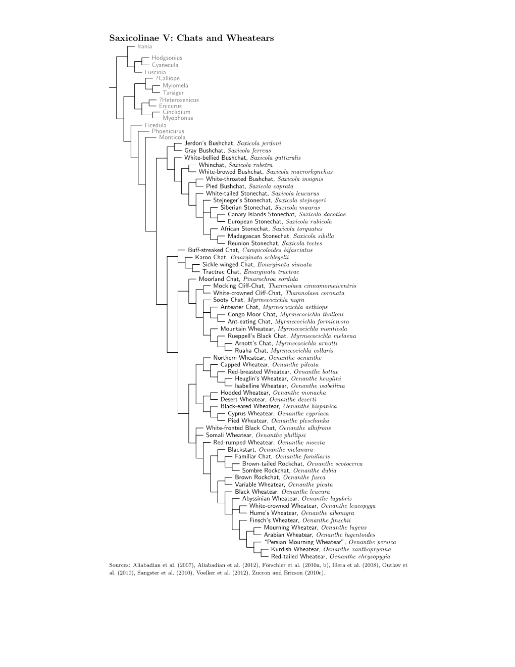 Saxicolinae Species Tree, Part 5