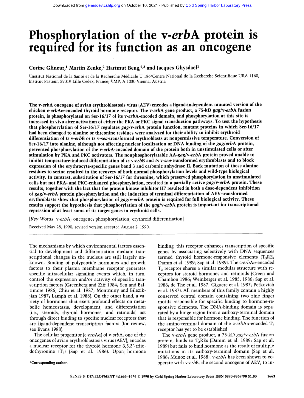 Phos.Phorylation of the V-Erba Protein Is Reqmred for Its Function As an Oncogene