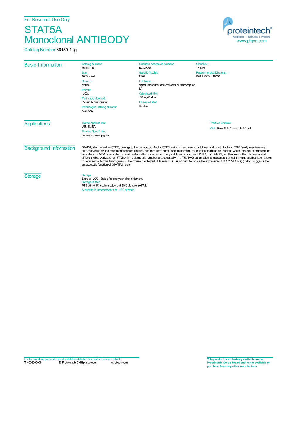 STAT5A Monoclonal ANTIBODY