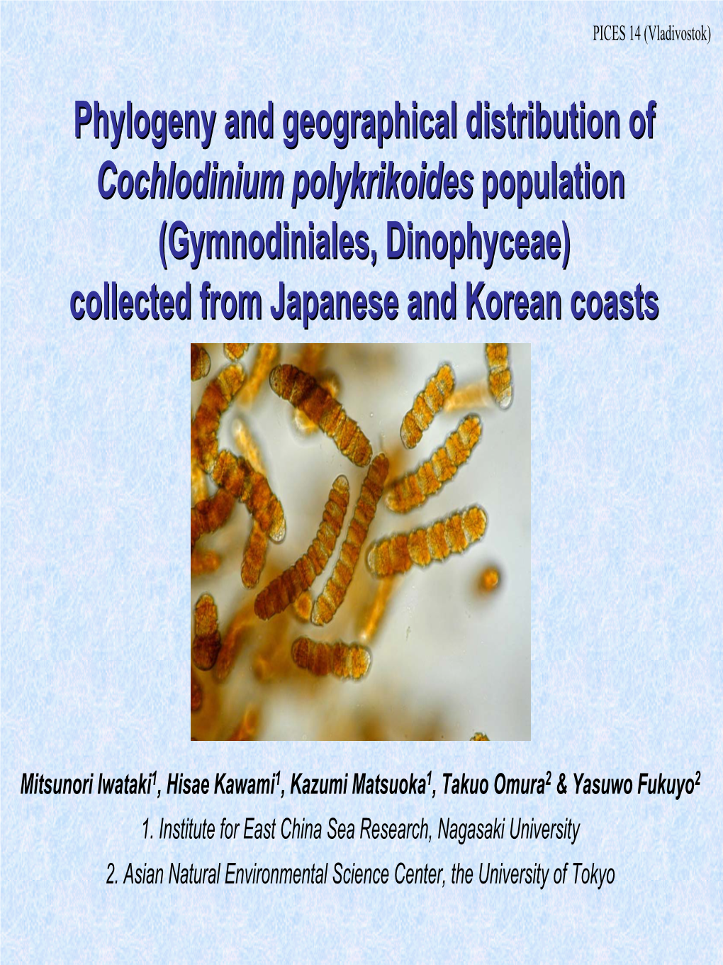 Cochlodinium Polykrikoides