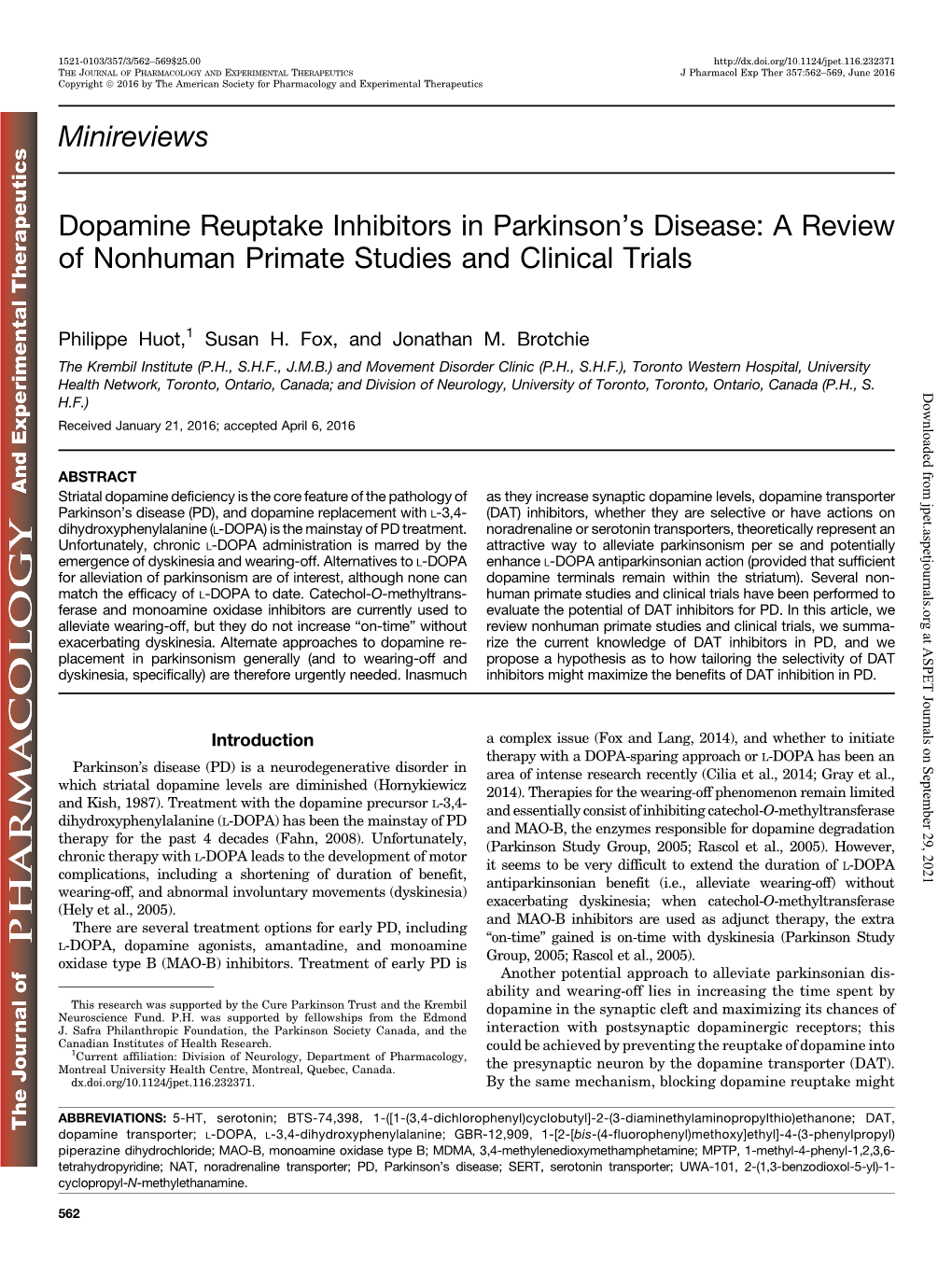 Dopamine Reuptake Inhibitors in Parkinson's Disease