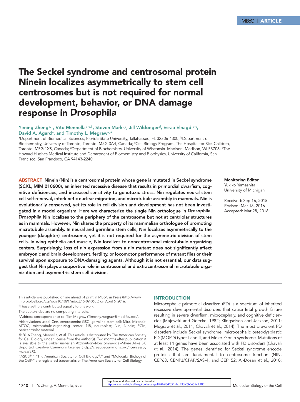 The Seckel Syndrome and Centrosomal Protein Ninein